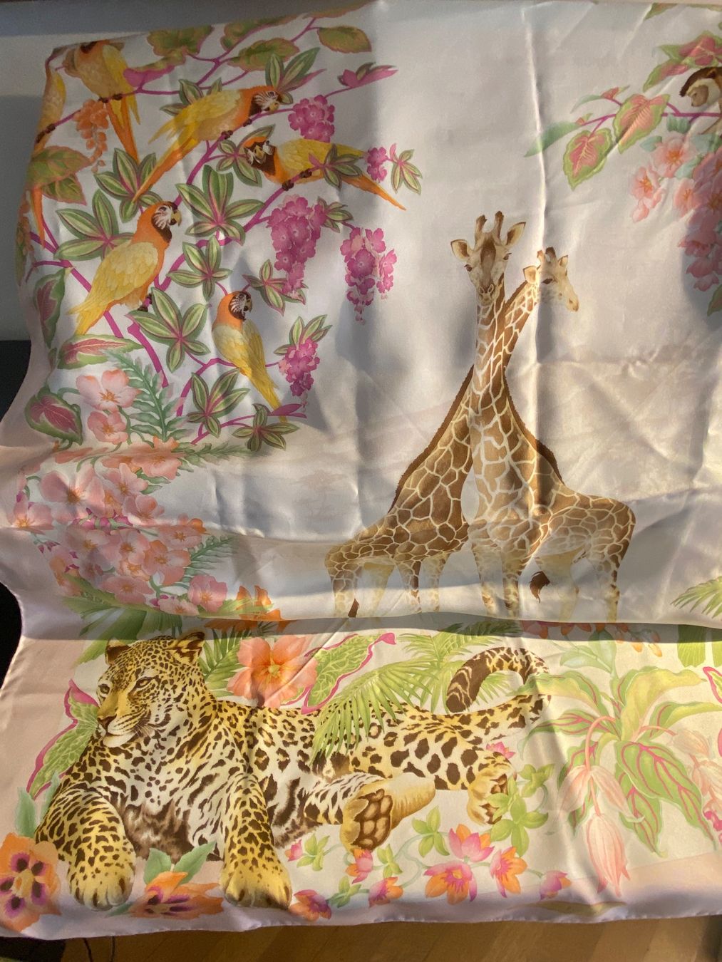 Salvatore Ferragamo Foulard & Sciarpe: Salvatore Ferragamo – Nuovo (secondo la descrizione) da fribourg venduto da iris18 3
