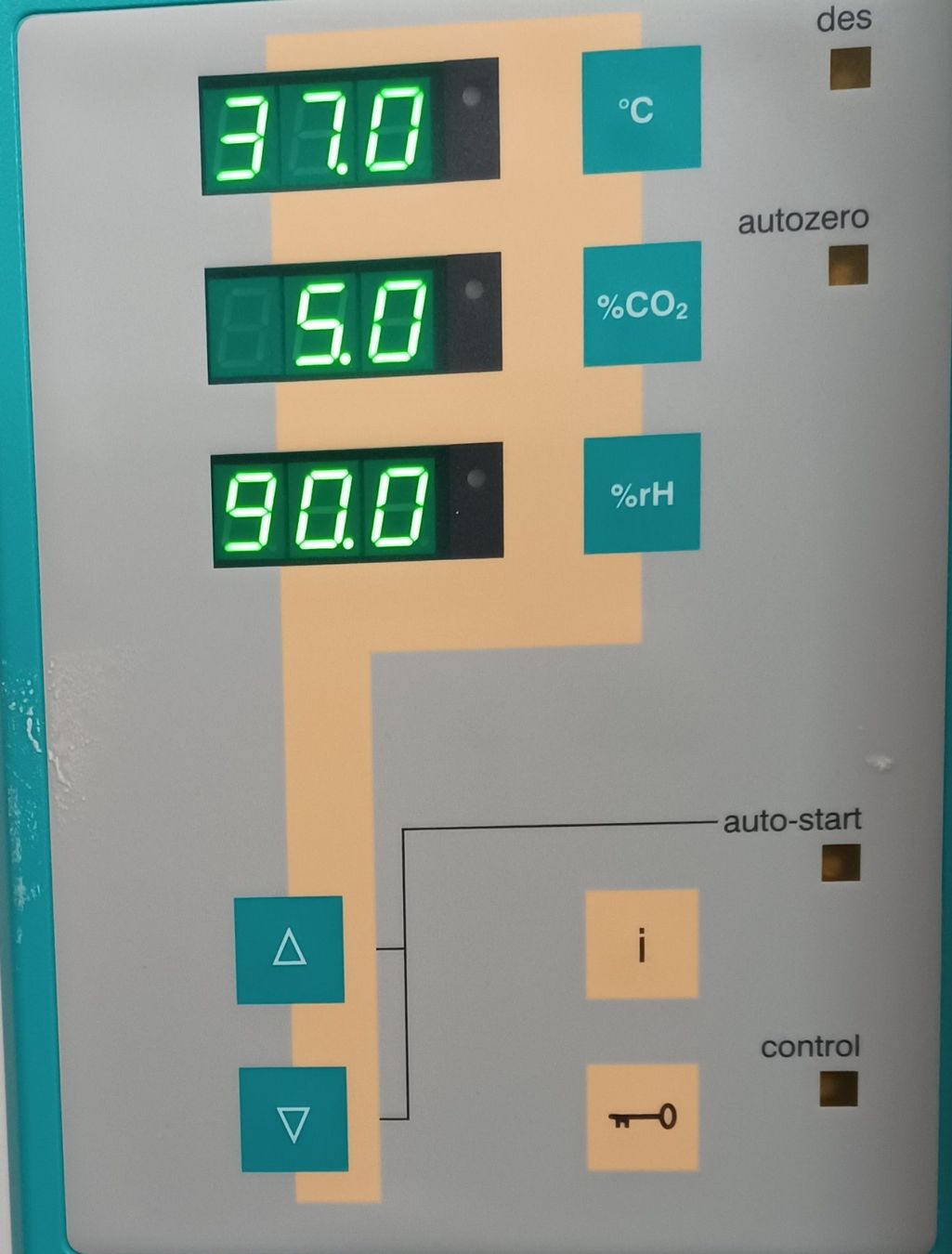 Accessori da laboratorio: Thermo BBD 6220 CO2 incubator – Usato da Niederdorf venduto da LeptonAG_Labor 1
