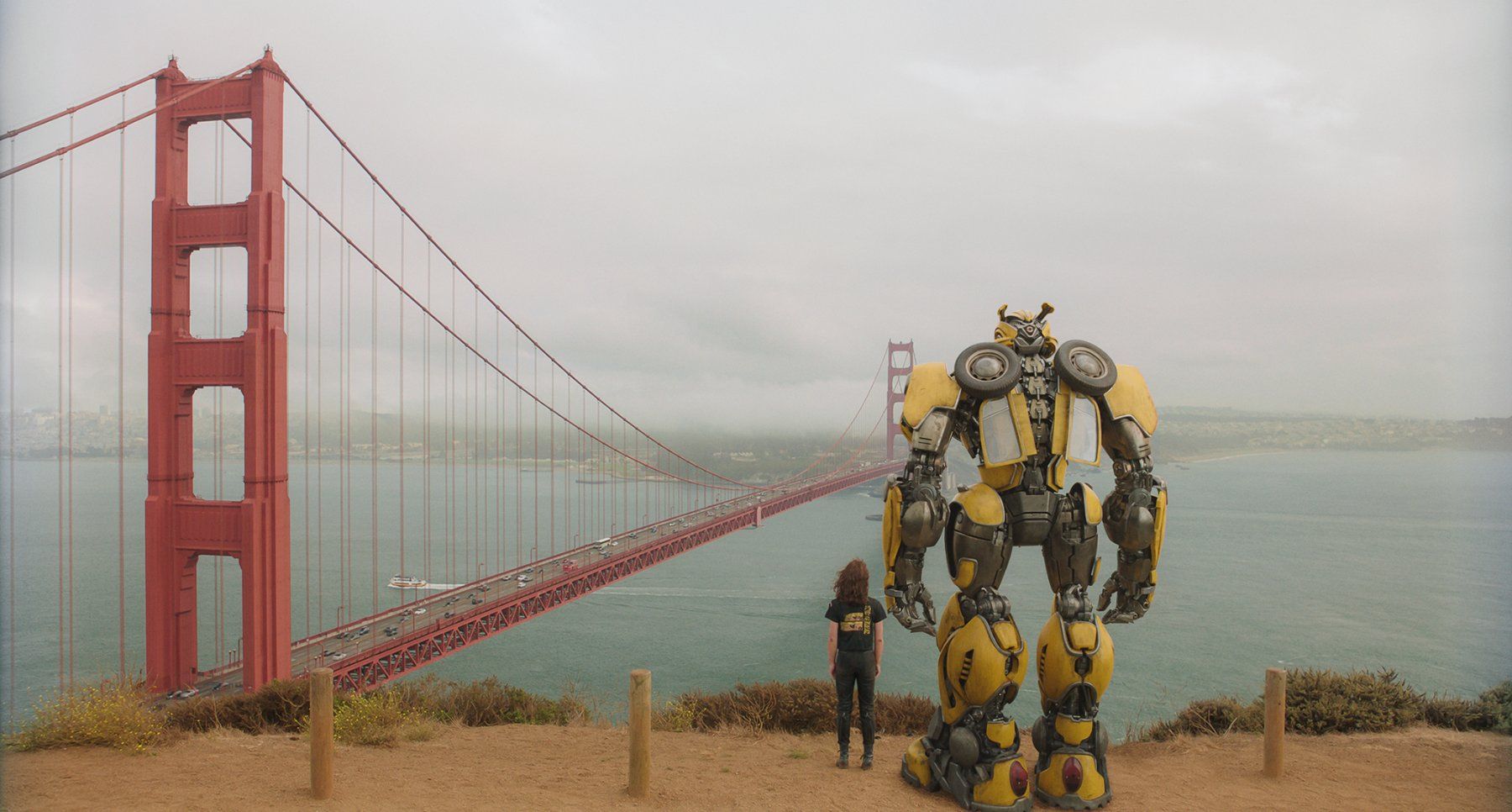 Tutti i DVDs: Bumblebee (2018) Hailee Steinfeld/John Cena/Transformers/BD – Usato da Volketswil venduto da cinephilia 7
