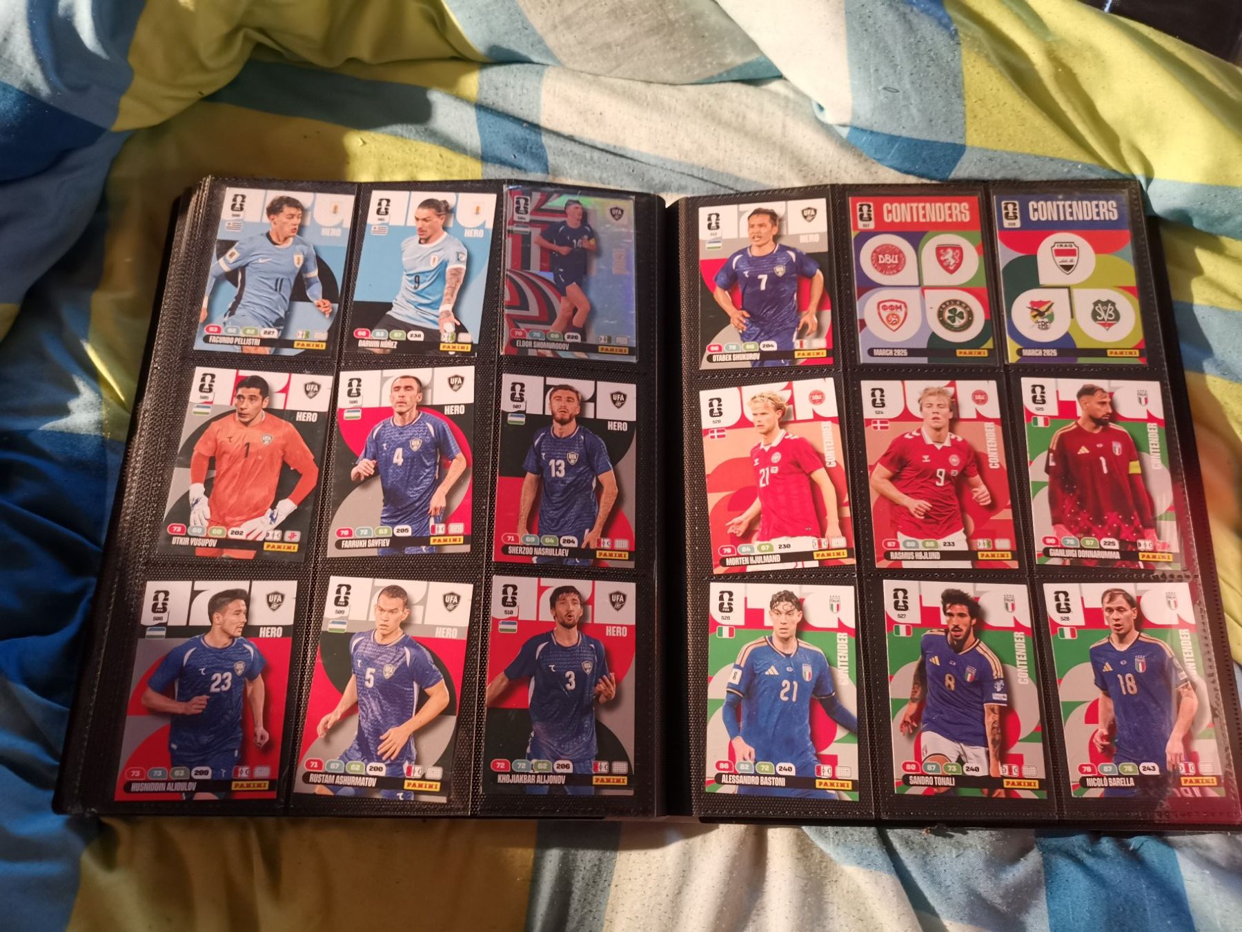 Panini Carte collezionabili: FUSSBALL PANINI BILDER 2026 CA. 500STK. – Usato da Altnau venduto da playboy 6