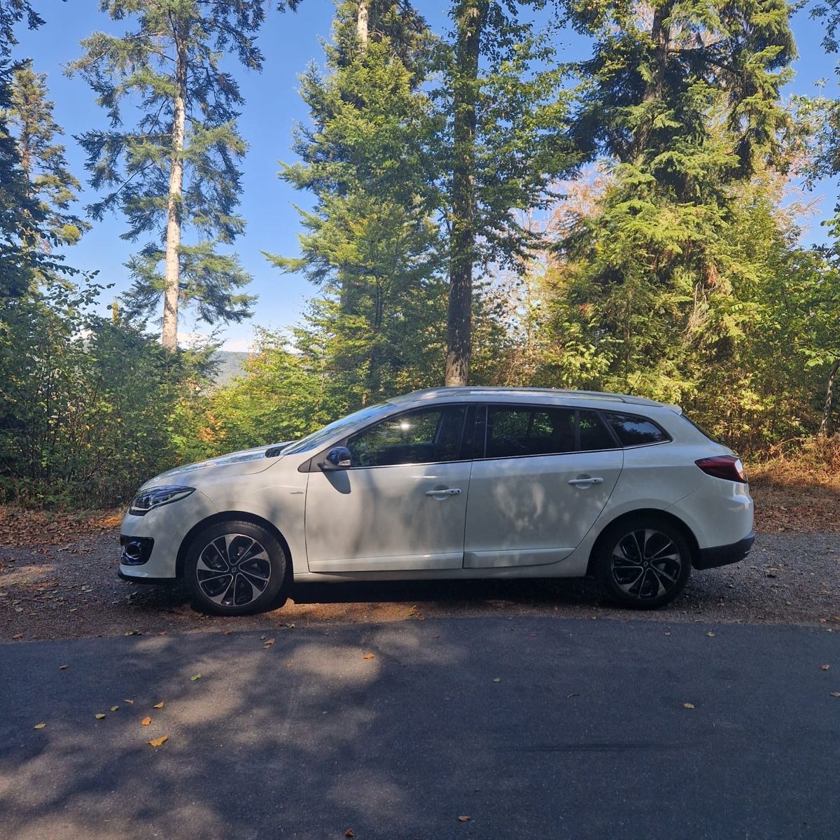 Renault Automobili: RENAULT Megane 1.5 – Usato da Zollikofen venduto da nha_825x 2