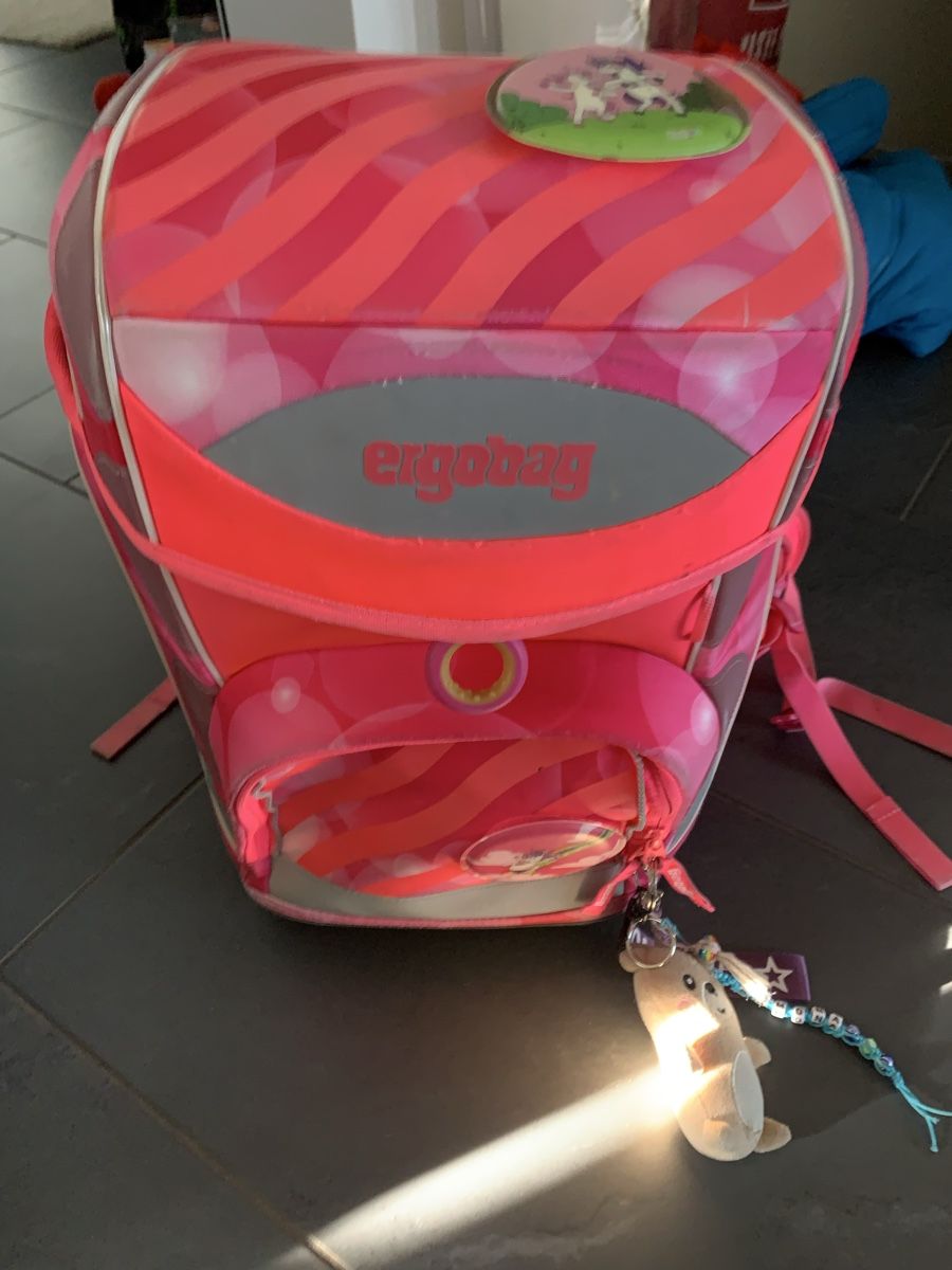 Borse & Zaini: Ergobag Schulrucksack, gut erhalten, ideales Geschenk! – Usato da Schneisingen venduto da isi_hmy8 1