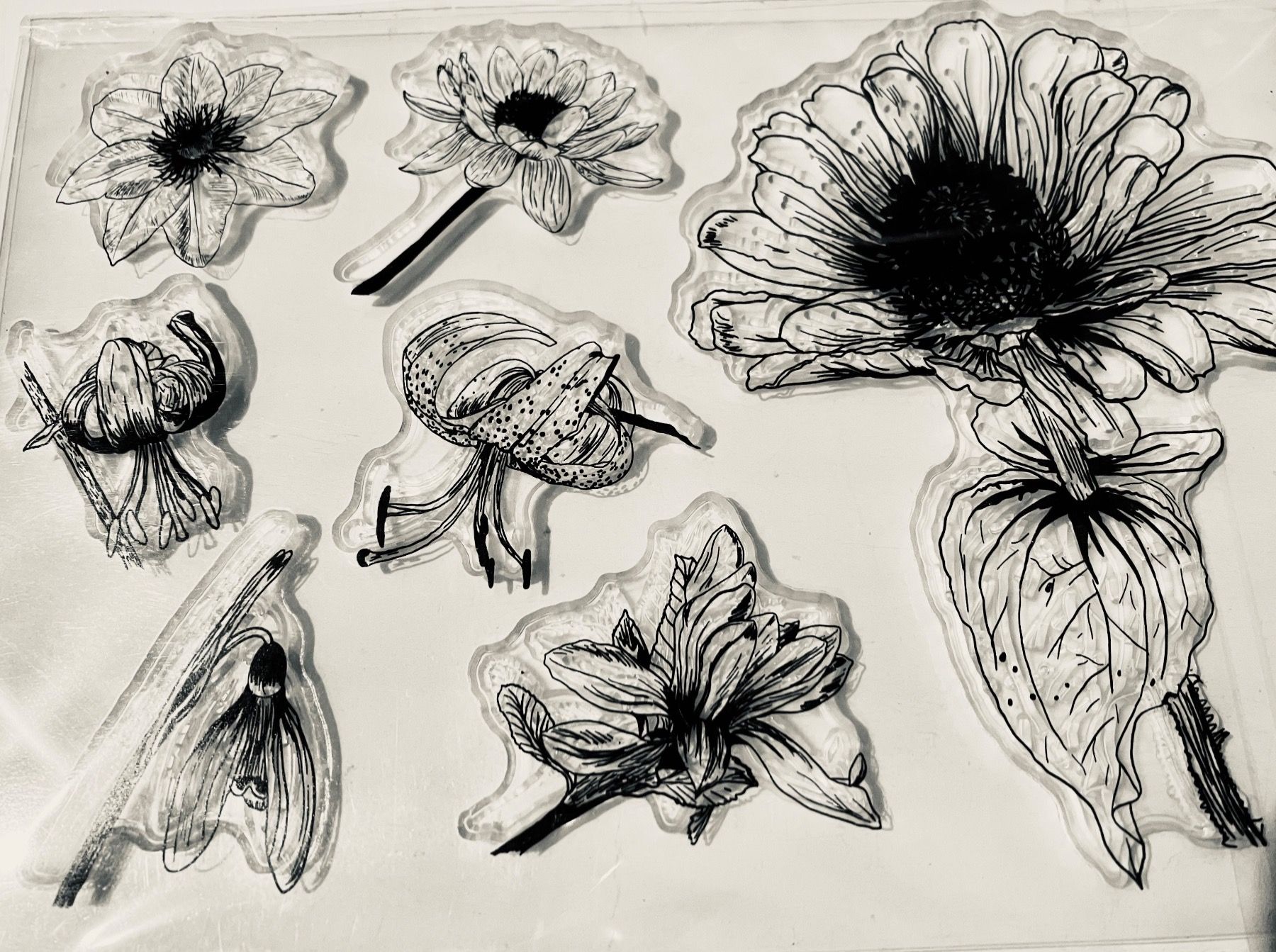 Timbri: Neues Set Motivstempel Blumen – Nuovo e nell'imballaggio originale da Effretikon venduto da wenuss 1