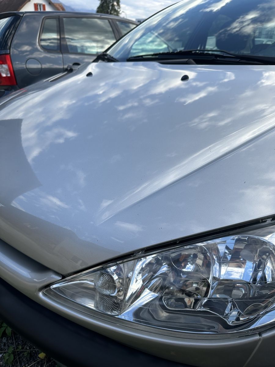Peugeot Automobili: Peugeot 206 1.4  – Usato da Buchs SG venduto da erd_p25r 7