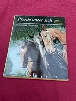 Pferde unter sich - Ursula Guttmann