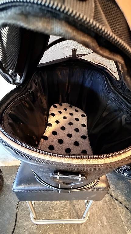 Cucce & Letti: faltbare Transportbox / Tasche für Hund oder Katze Neu – Usato da Unterseen venduto da beE-Scooter 2