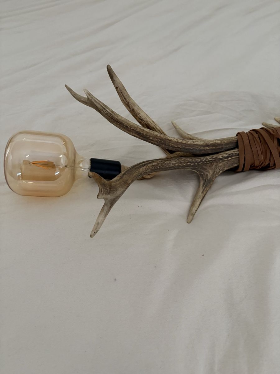 Lampade: Lampe en bois de cerf véritable  – Usato da Collombey venduto da eekym.b 2