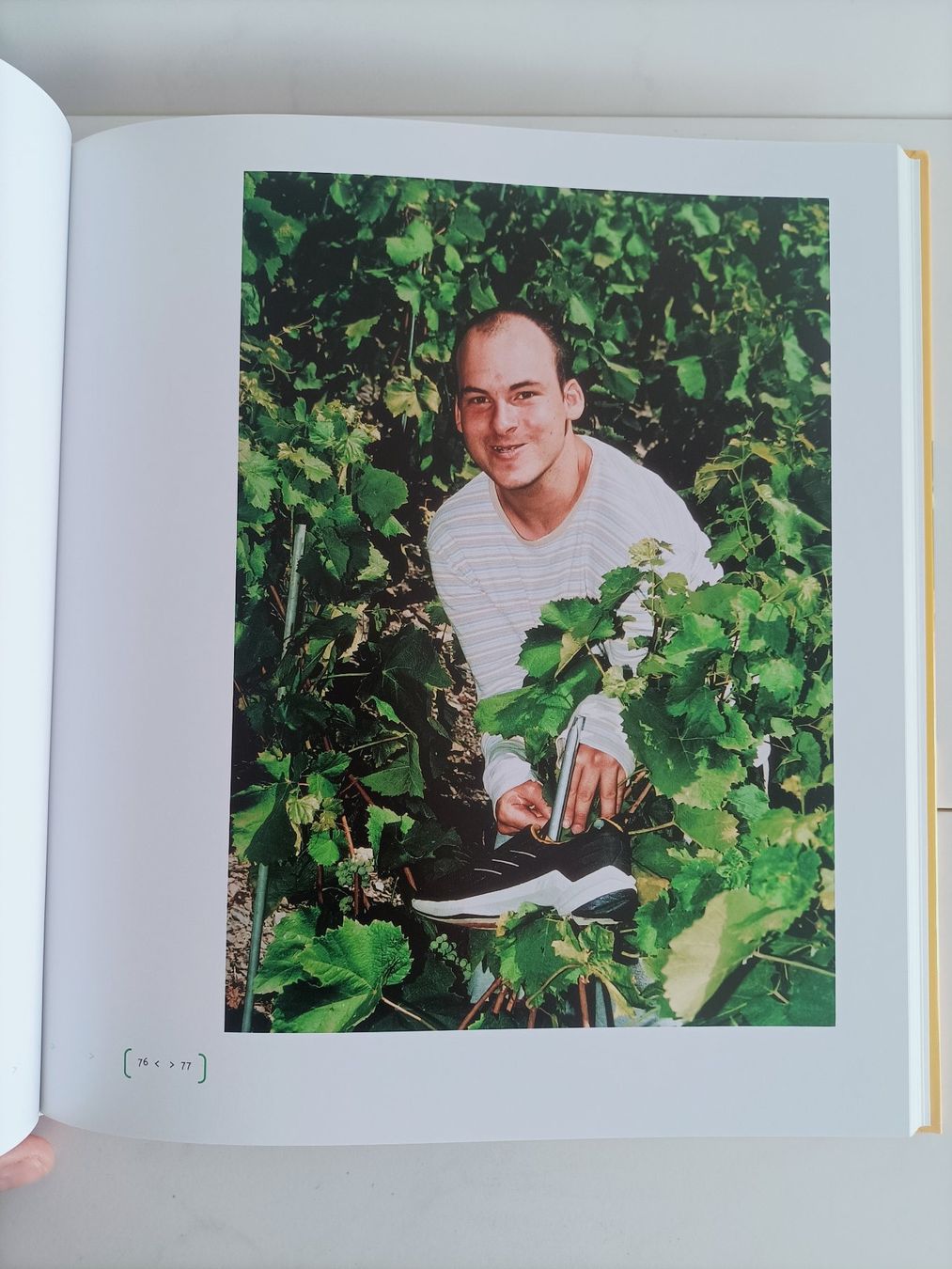 Libri: Tous en baskets / Georges-André Cretton - Gérard-Philippe Ma – Usato da crans montana venduto da AB3963 3