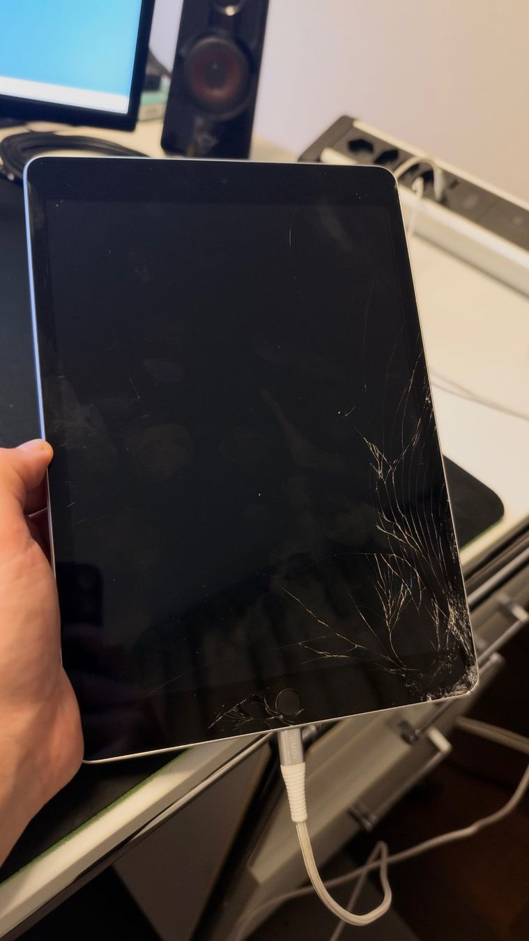 Apple Tablet PC: Apple Ipad 9th. Generation 64GB Wifi A2602 – Usato da St. Margrethen SG venduto da Grenzgarage1 1