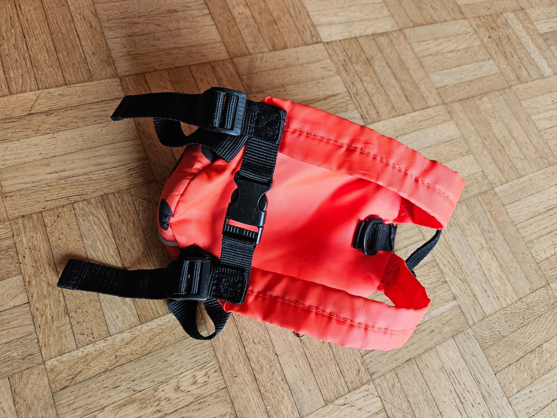 Borse & Zaini: Kinder Rucksack – Usato da Liestal venduto da Seraphine87 1