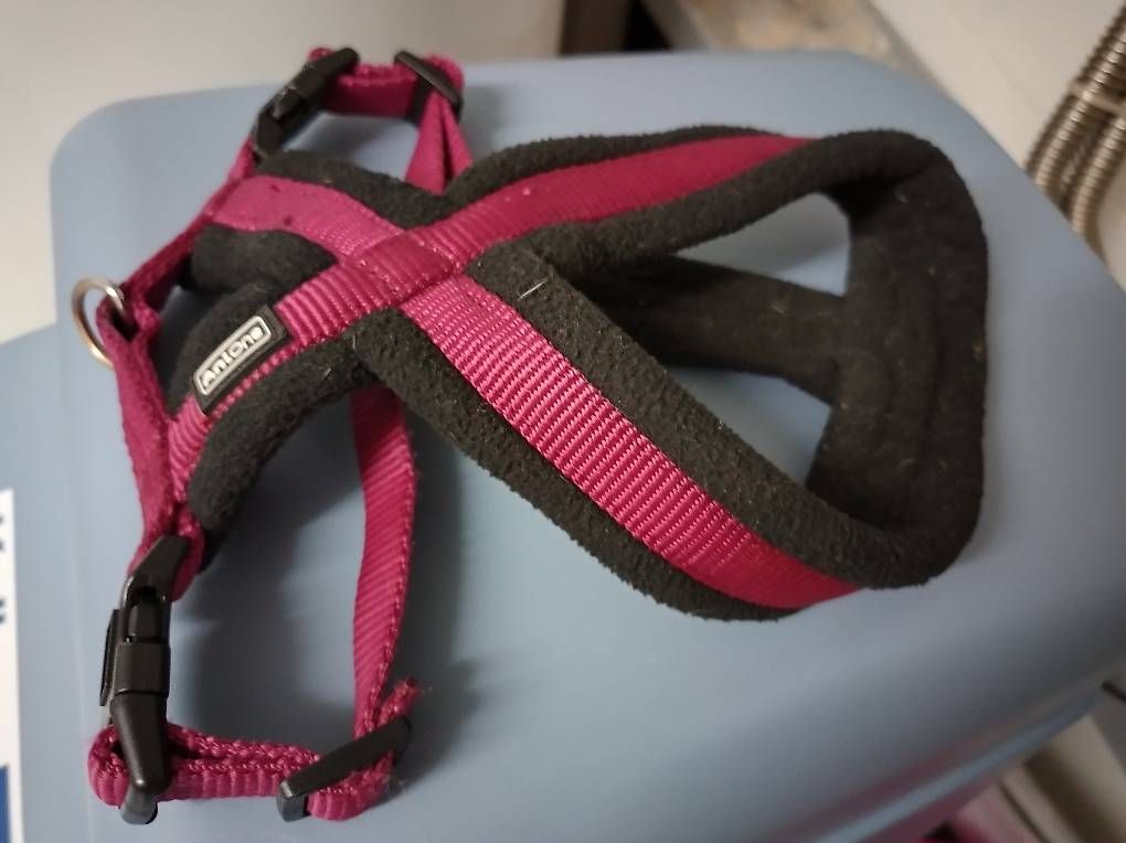 Leine & Halsband: Hundegeschirr  – Gebraucht aus Hettlingen von Sylvia24