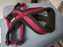 Hundegeschirr 