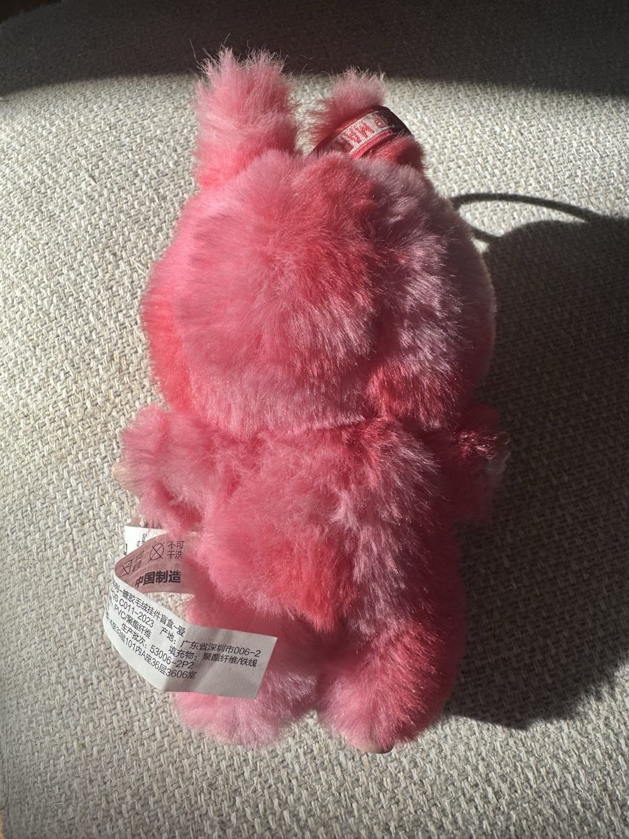 Pop Mart Statuette: Pop Mart Labubu – Usato da Zürich venduto da MHW23 1