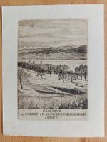 Exlibris Gregor Rabinovitch - Original Radierung Zürichsee