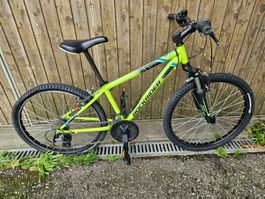 Kindervelo Rockrider ST 500 Bastler defekt Export