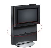 BeoVision Avant 32 Lautsprecherabdeckung