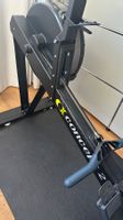 Rudergerät RowERG Concept 2