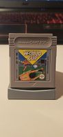 World Cup + Hülle, Nintendo Gameboy