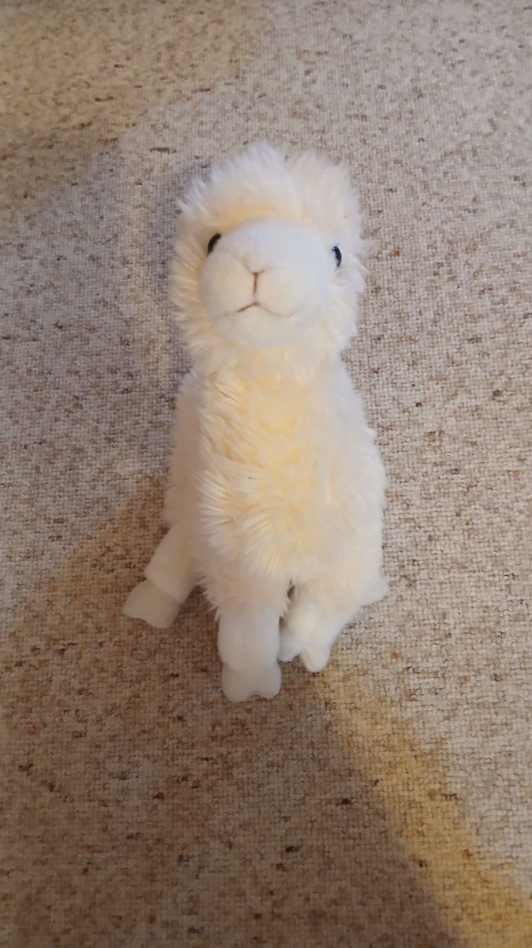 Jouets: Plüschtier Alpaka Lama – Neuf (Voir description) à Davos Monstein par Loiseleurea 2