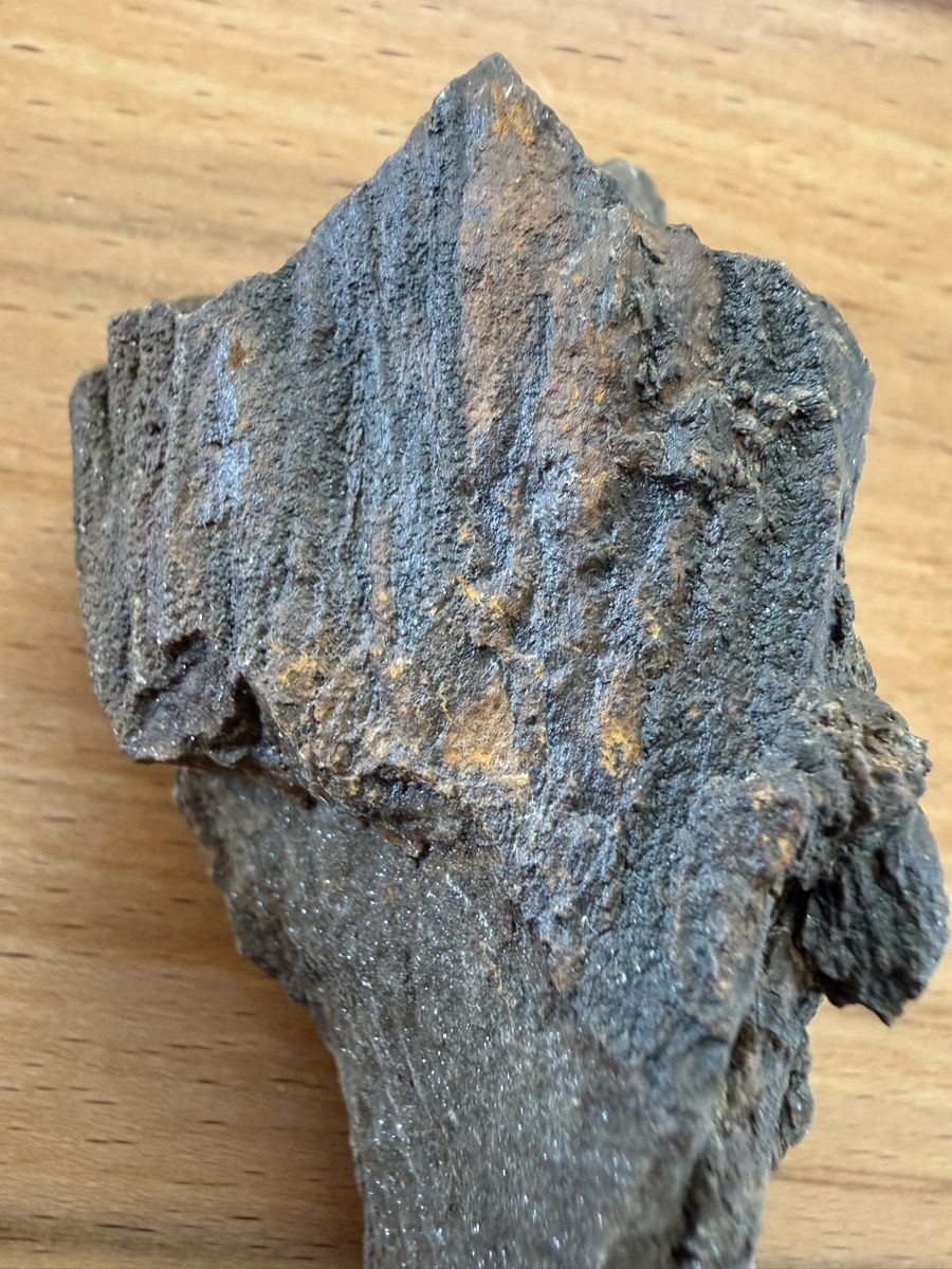 Fossili: Versteinertes Holz – Usato da Grenchen venduto da Bastet007 5