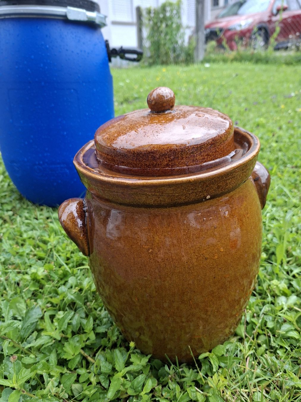 Elettrodomestici da cucina: Schöne Keramik-Gärtopf braun mit Deckel – Usato da Altdorf UR venduto da stefanm64