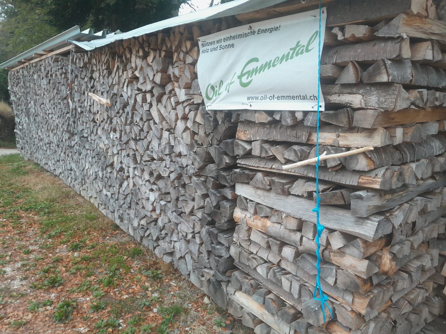 Articoli in legno: Brennholz Buche – Nuovo (secondo la descrizione) da Wasen im Emmental venduto da sadsdla
