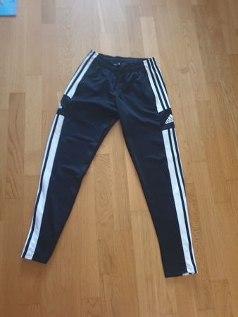 Trening adidas