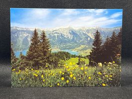 Axalp 1530 m ü.M. (ob Brienz) Blick auf Brienzersee....
