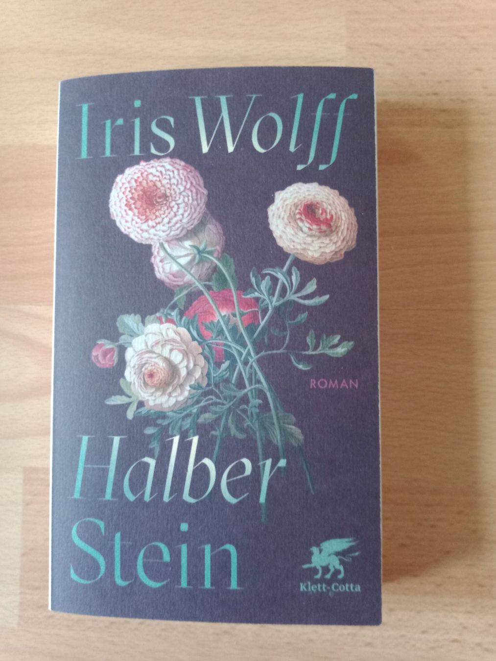 Bücher: Iris Wolff Halber Stein Roman 14.02.2026 – Gebraucht aus Wangen b. Olten von EmilythestrangeX
