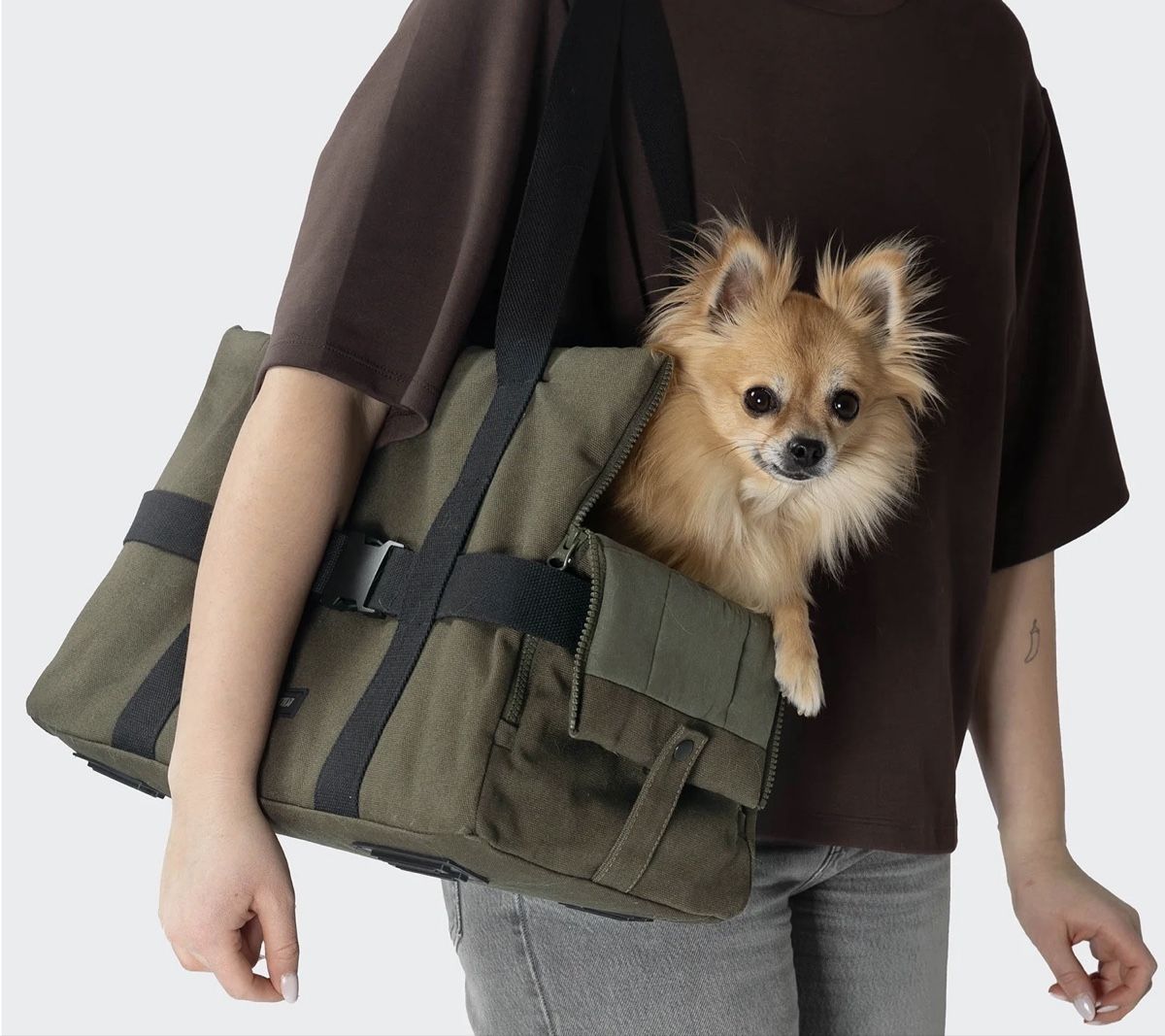 Cloud7 Borse: CLOUD7 Hundetasche Turin Canvas Olive – Usato da Weesen venduto da isabelleST 2
