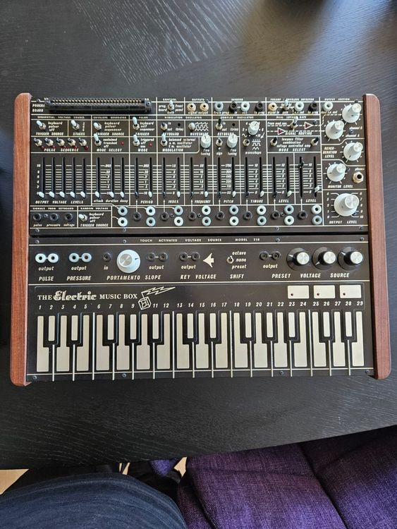 The Electric Music Box, Buchla Music Easel Clone Kaufen auf Ricardo