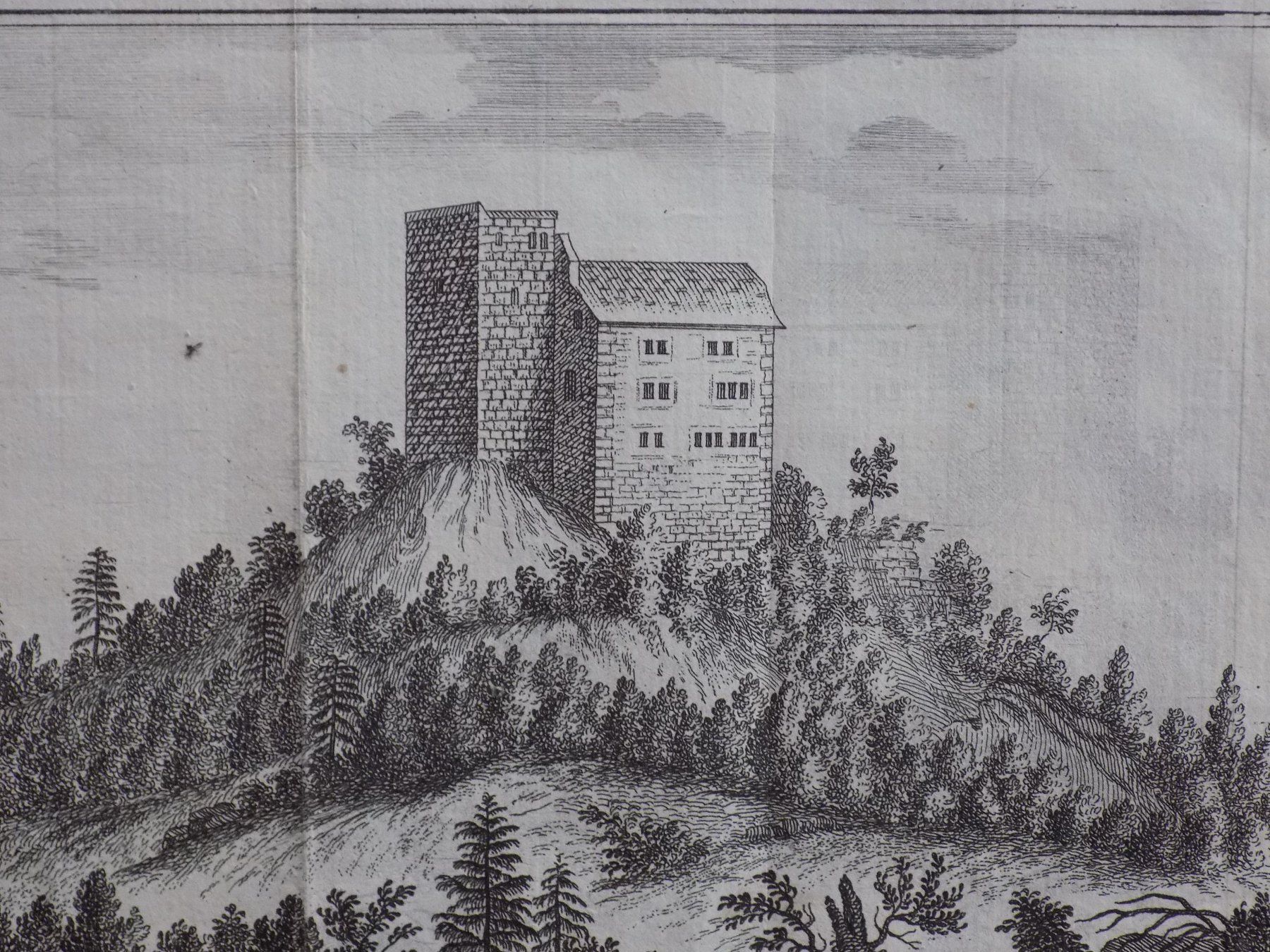 Stiche: Habsburg Kupferstich selten – Gebraucht aus Risch von Rischli15 1