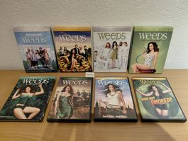 DVD USA NTSC Weeds the complete Series 1-8