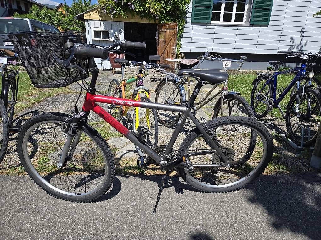 Biciclette: Terrano suisse star MTB – Usato da Biel/Bienne venduto da Rouf7
