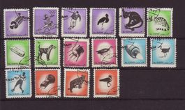schöne Motiv Sammlung Tiere