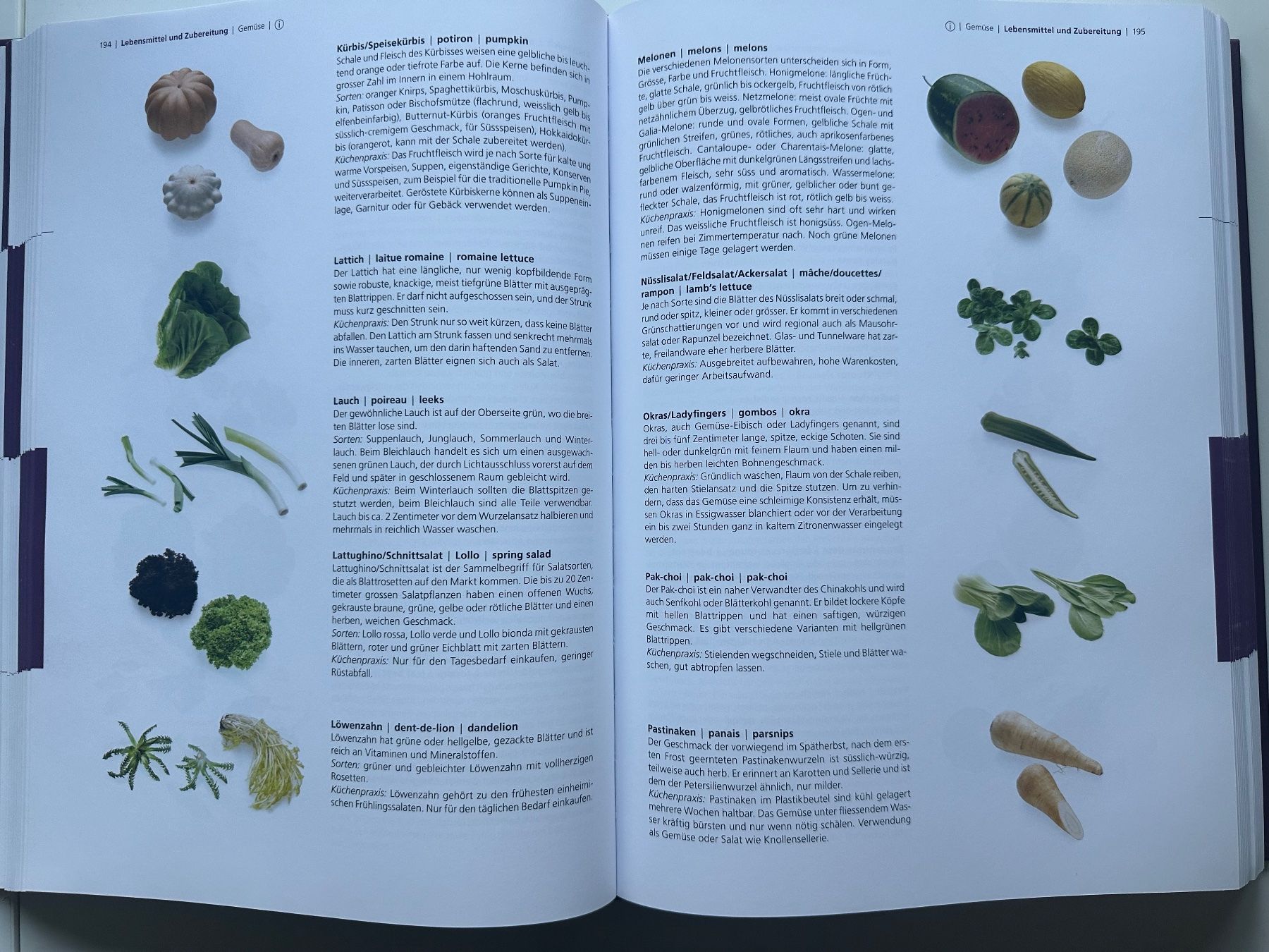 Libri: Pauli Lehrbuch der Küche – Nuovo (secondo la descrizione) da Dietlikon venduto da has_s9fw 3