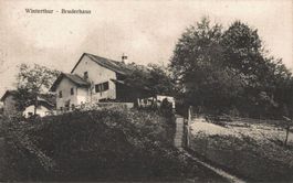 Winterthur Bruderhaus Ansichtskarte, gelaufen 1909, Top!