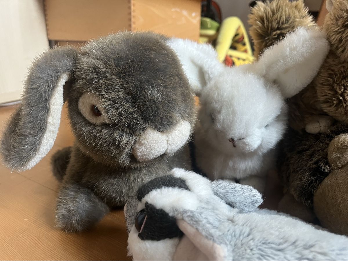 Giocattoli: Bundle of Plush Animals - Squirrel, Rabbit, Hedgehog! – Usato da Aarau venduto da kailing12 1