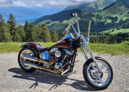 Harley Davidson Softail