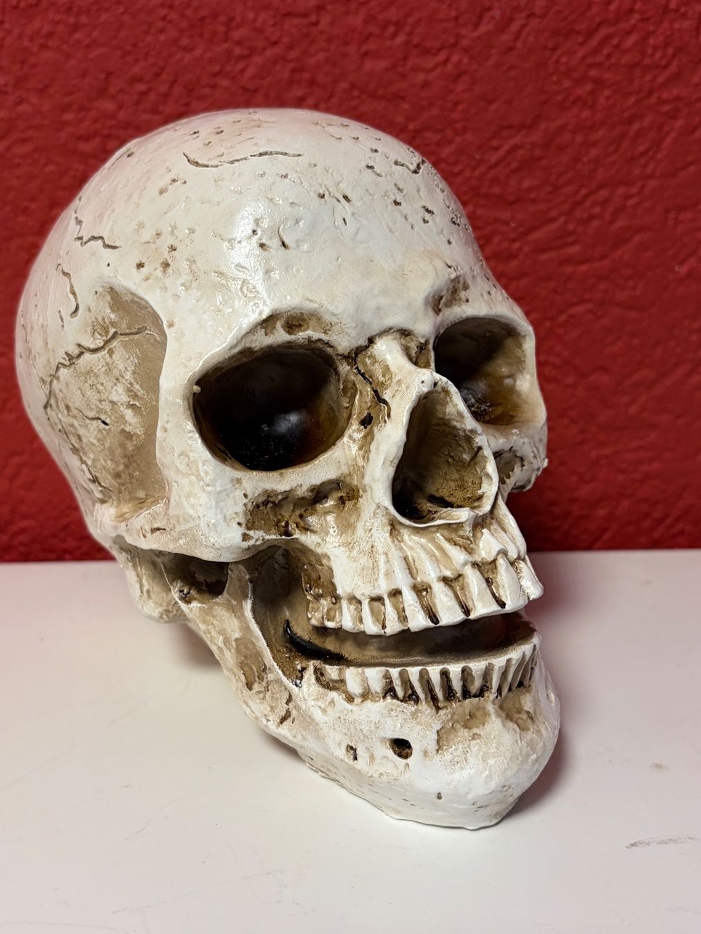 Figuren: Deko Totenschädel - Neu – Neu und originalverpackt aus Zäziwil von Emlea 1