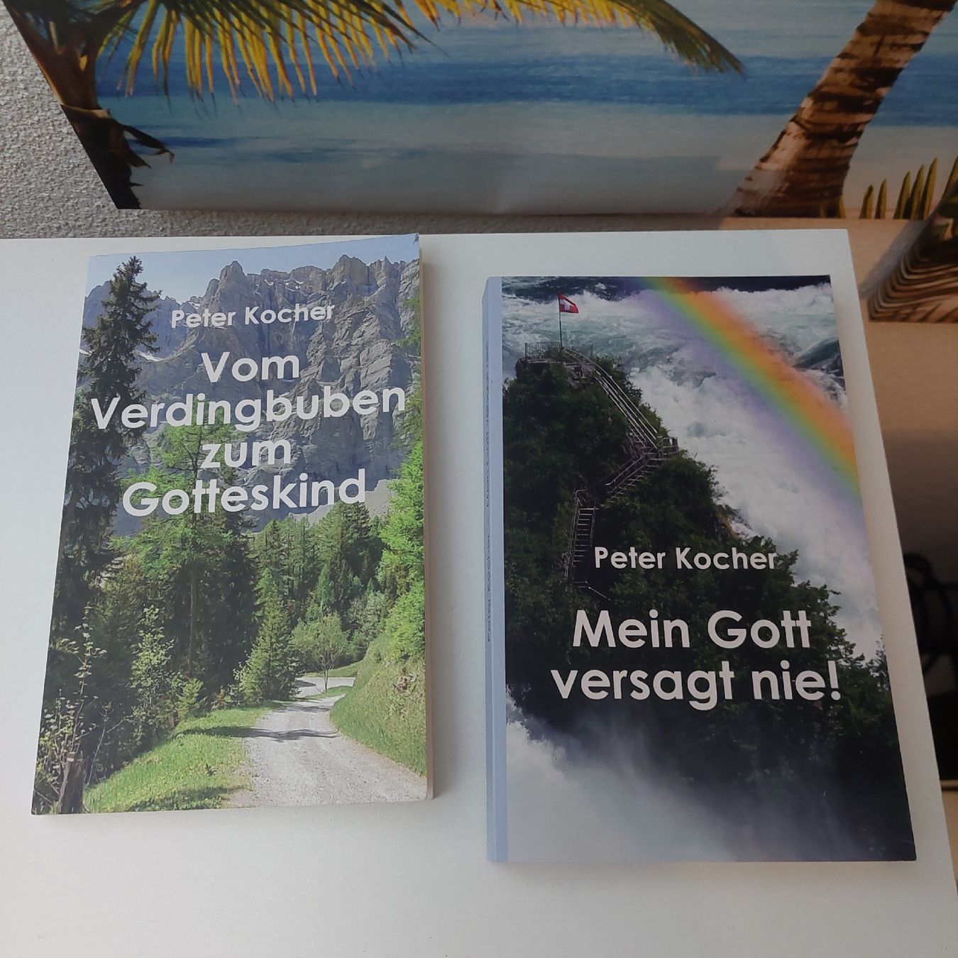 Bücher: Vom Verdingbuben zum Gotteskind – Gebraucht aus Belp von masterdriftking 1