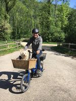 Isy E Bike 