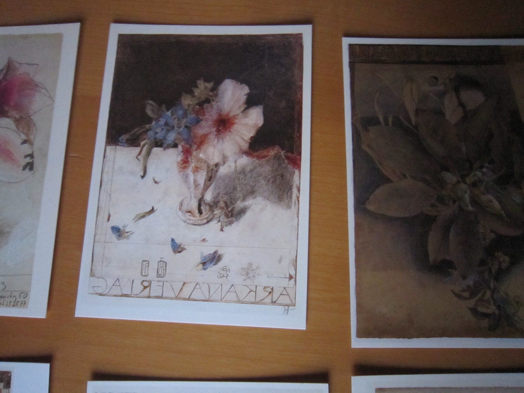 Cartes postales: Schöne Postkarten HORST JANSSEN BLUMEN – D'occasion à Gordola par Polentaefung 2