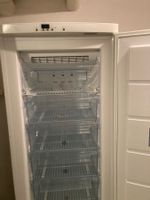 NoFrost Gefrierschrank von Elektrolux Model SG293N10