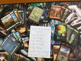 MTG Full Art Lands english ex-nm 74 cards siehe bilder