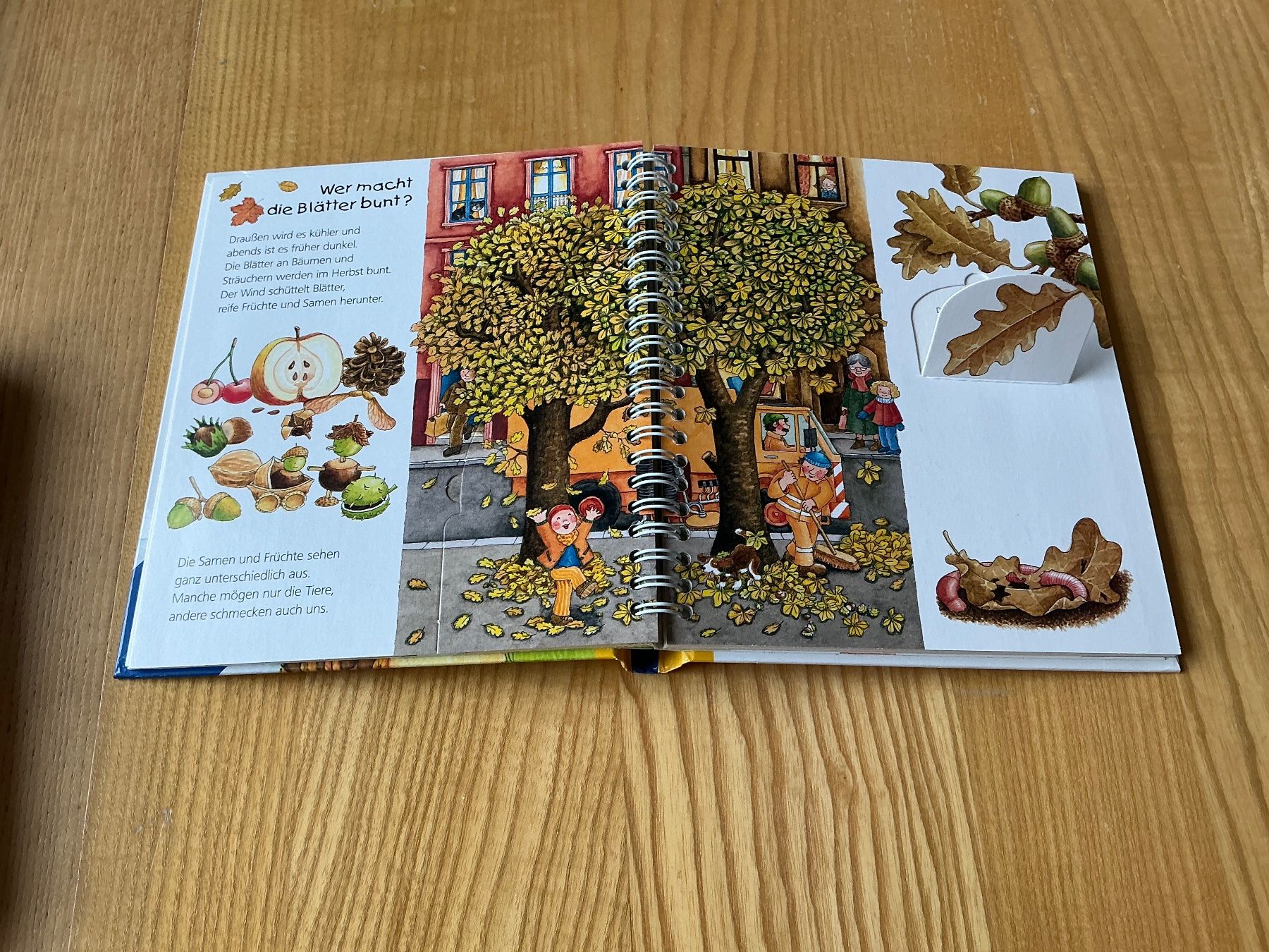 Libri: Wieso? Weshalb? Warum? Herbst-Kinderbuch – Usato da Oberdorf SO venduto da walterrueefli 2