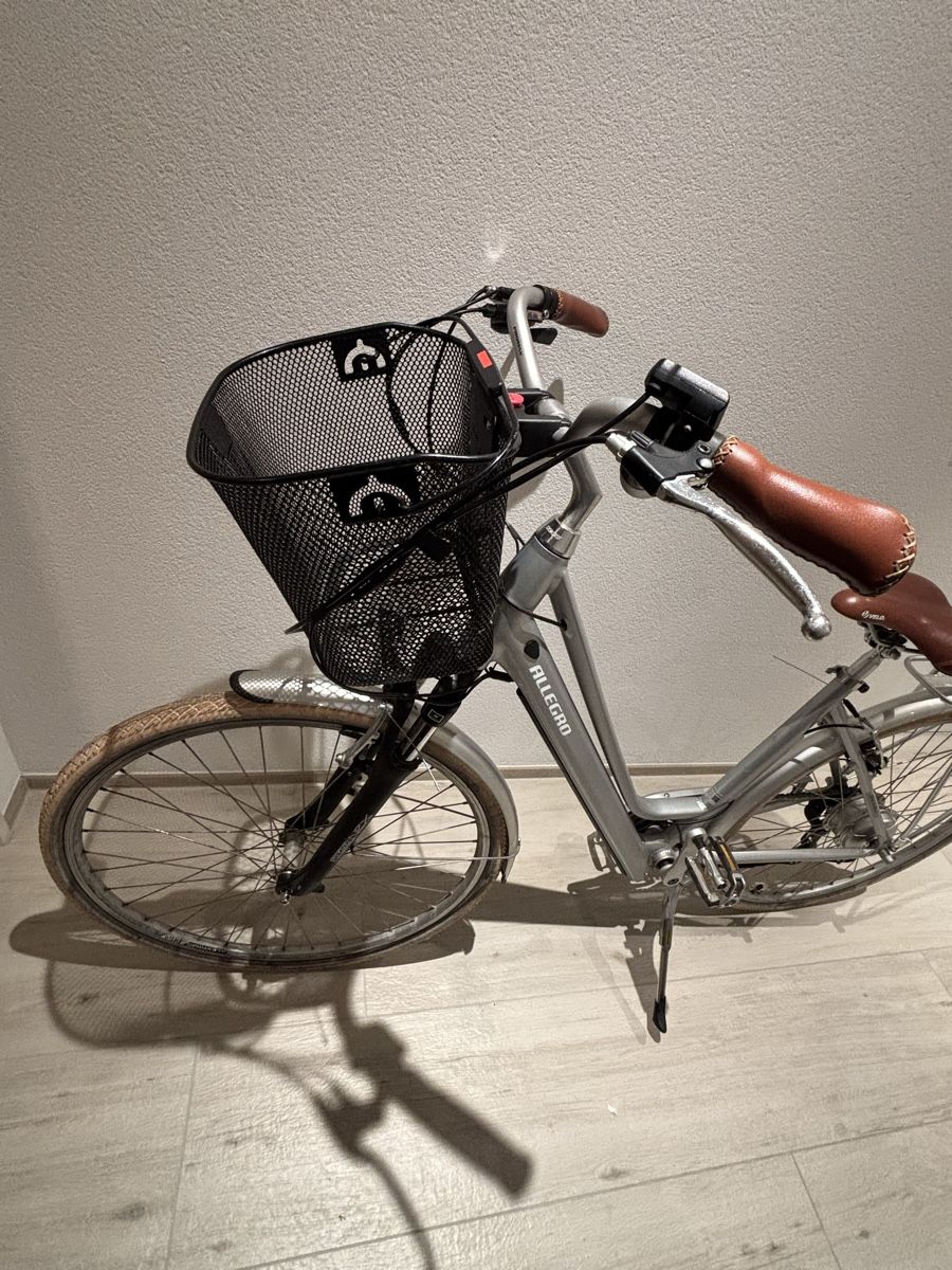 Biciclette: E-Bike Allegro Invisible – Difettoso da Biel-Benken BL venduto da Pepsi23 6