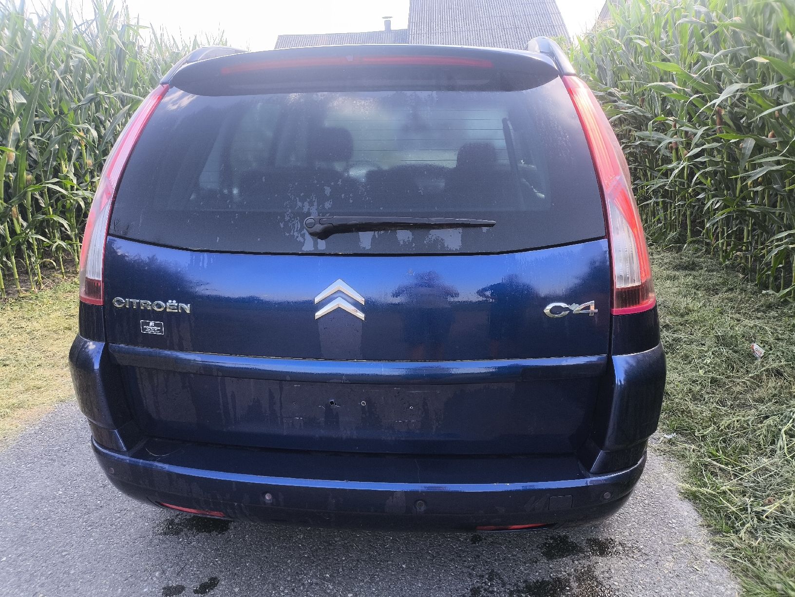 Citroën Automobili: Citröen C4 Picasso 2.0L Diesel – Usato da Balgach venduto da skl_5lyw 4