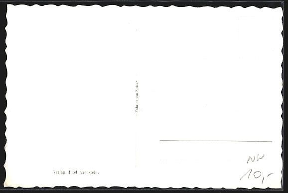 Cartoline postali: AK Axenstein, Park Hotel mit Urirotstock – Usato da Berlin venduto da bartko-reher 1