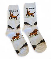 Socken Dackel/Dachshund/Dog/Hunde/Welpen
